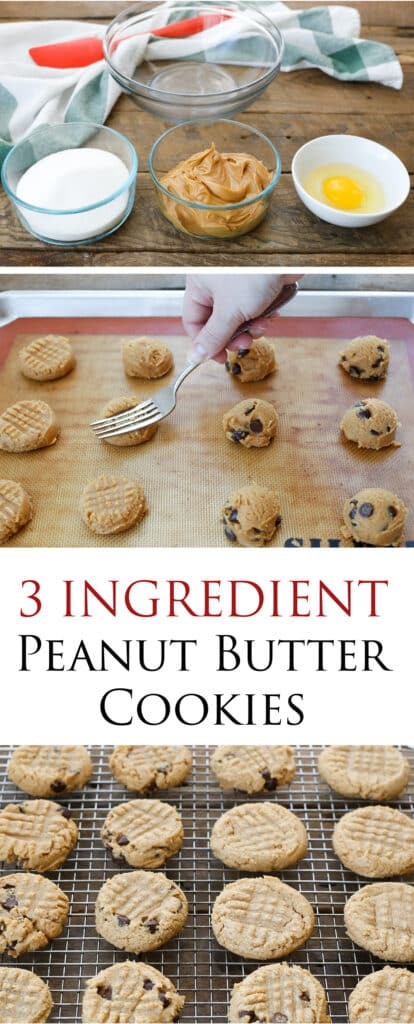 Three Ingredient Peanut Butter Cookies are so simple, you can make them in minutes! get the easy recipe at barefeetinthekitchen.com