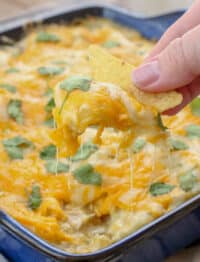 No one can resist these 30 Minute Green Chile Chicken Enchiladas! get the recipe at barefeetinthekitchen.com