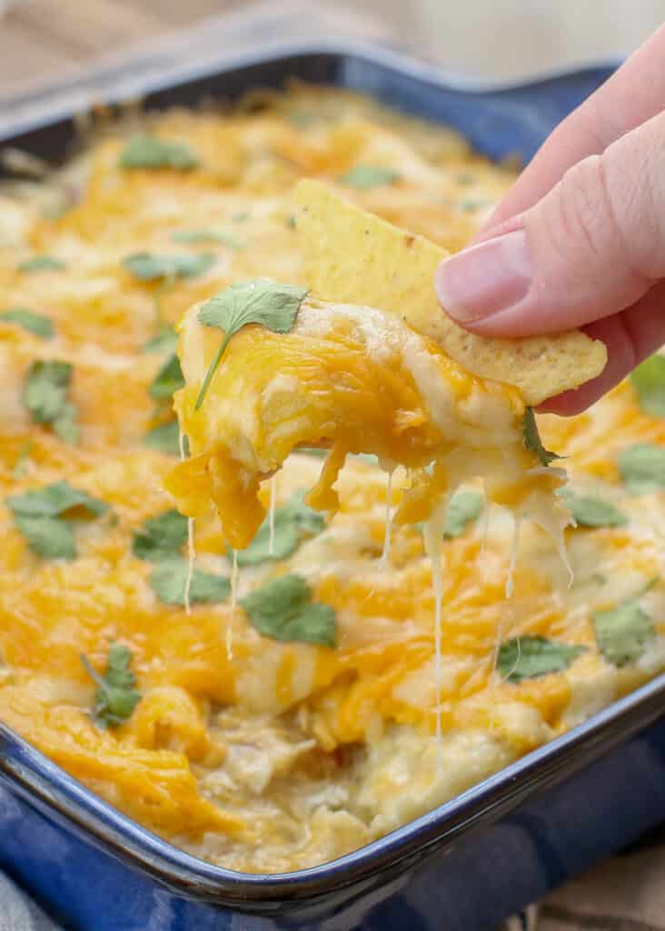 No one can resist these 30 Minute Green Chile Chicken Enchiladas! get the recipe at barefeetinthekitchen.com