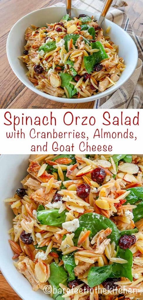 Spinach Orzo Salad with Cranberries, Almonds, and Goat Cheese